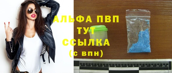 стафф Великий Новгород