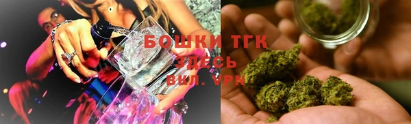 прущие грибы Нефтегорск