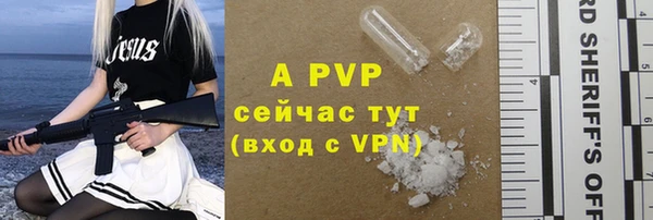 прущие грибы Нефтегорск