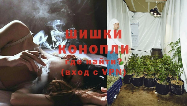 прущие грибы Нефтегорск