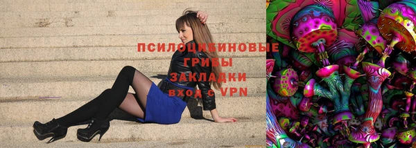 прущие грибы Нефтегорск