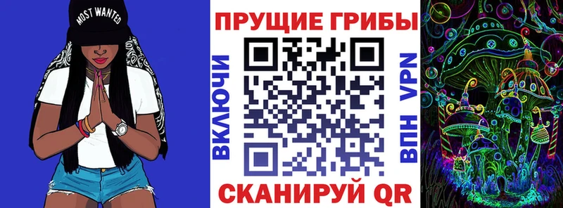 Галлюциногенные грибы мицелий  Пролетарск 