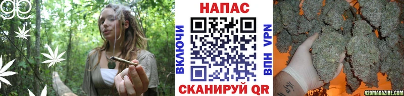 Канабис семена Пролетарск
